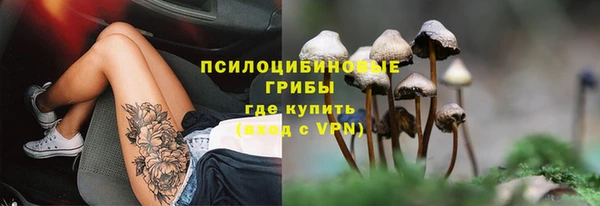 ECSTASY Аркадак